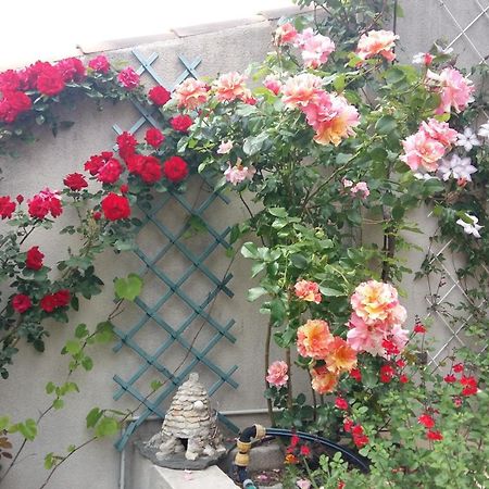 Bed and Breakfast Au Bon Penequet Pujaut Екстер'єр фото
