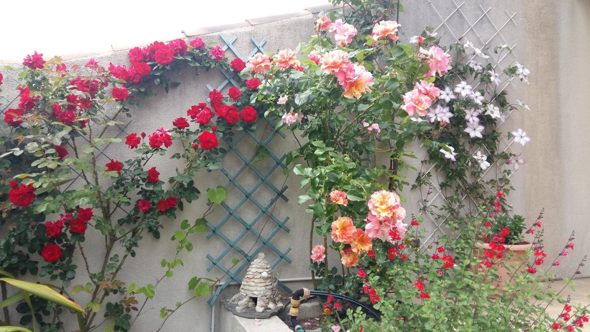 Bed and Breakfast Au Bon Penequet Pujaut Екстер'єр фото