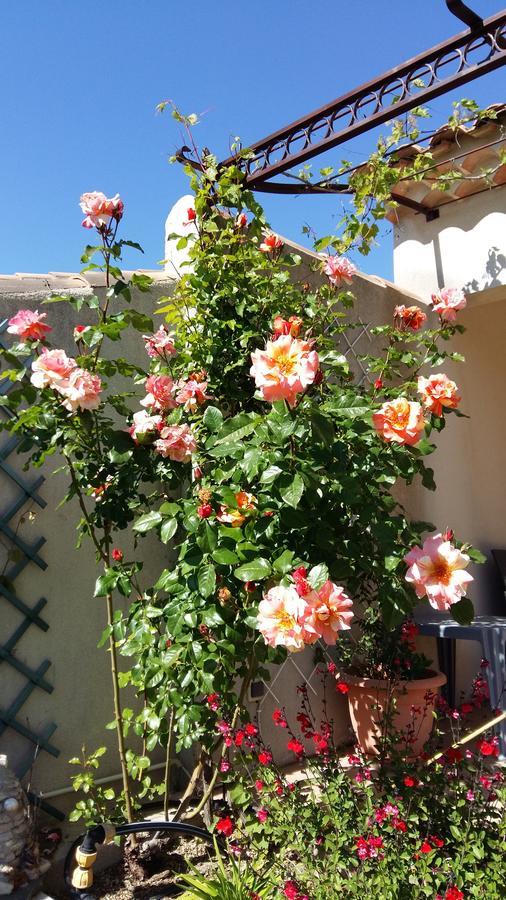 Bed and Breakfast Au Bon Penequet Pujaut Екстер'єр фото