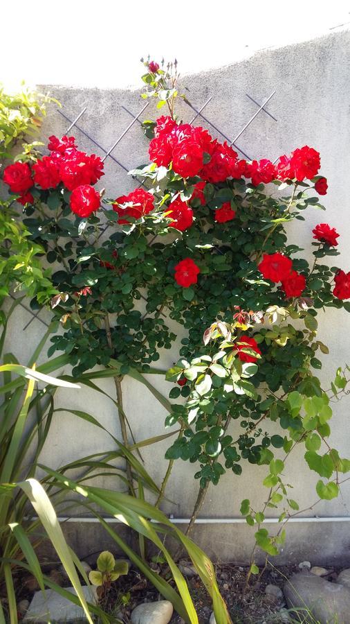 Bed and Breakfast Au Bon Penequet Pujaut Екстер'єр фото